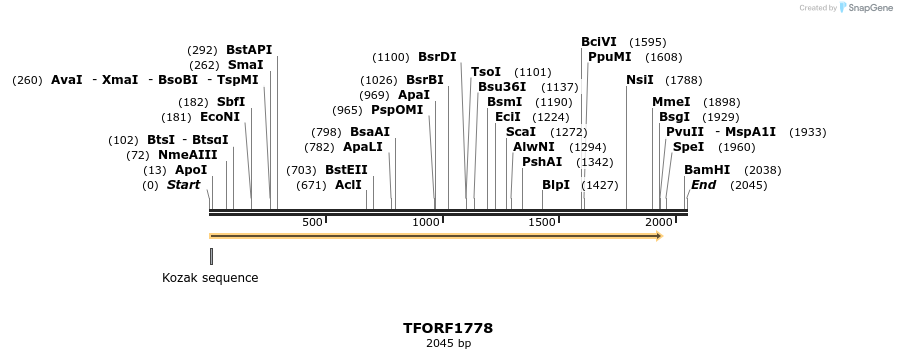 280691_map
