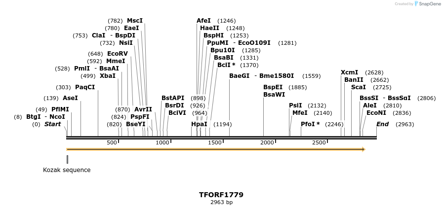 280694_map