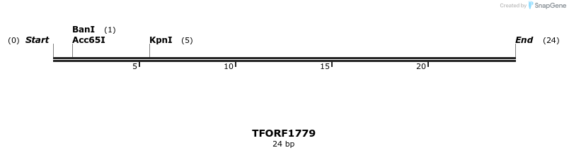 280695_map