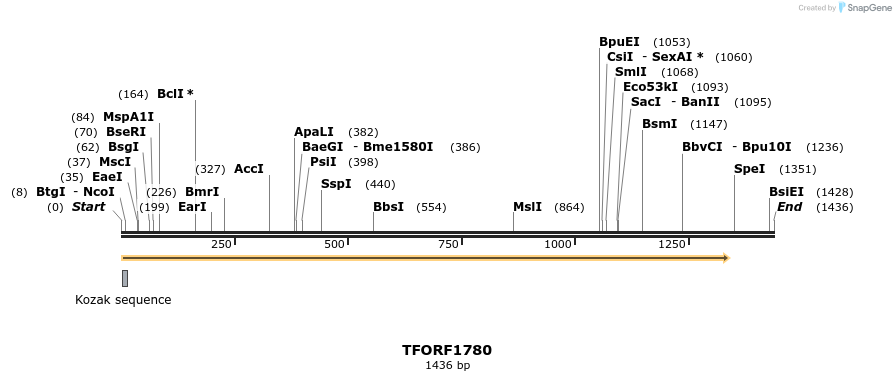 280697_map