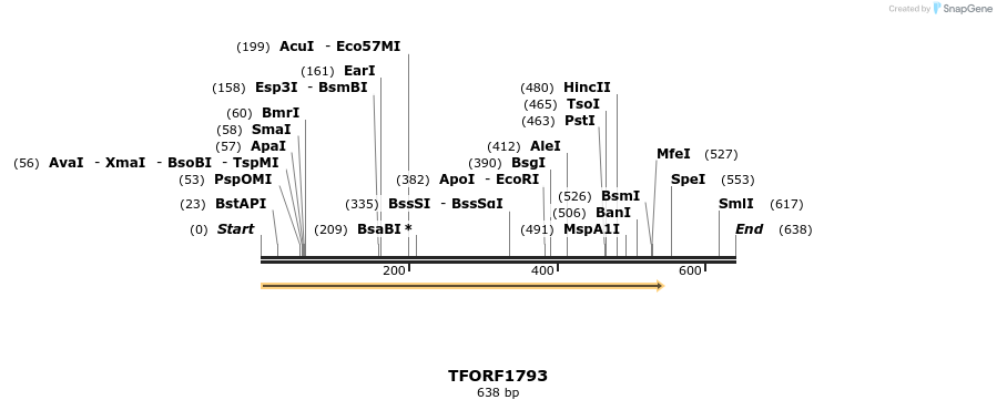 280703_map