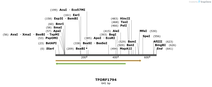 280706_map