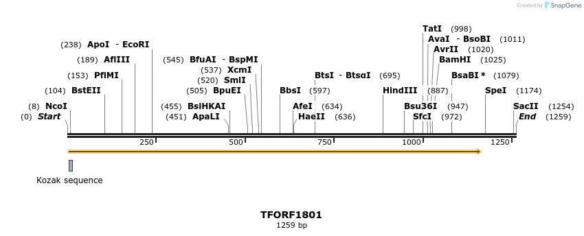 280712_map