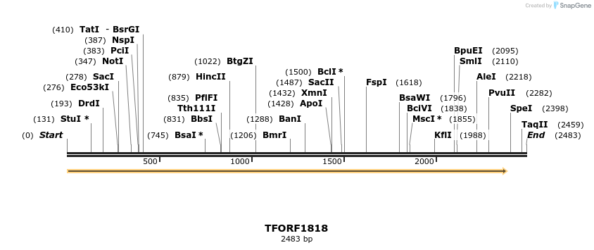 280718_map