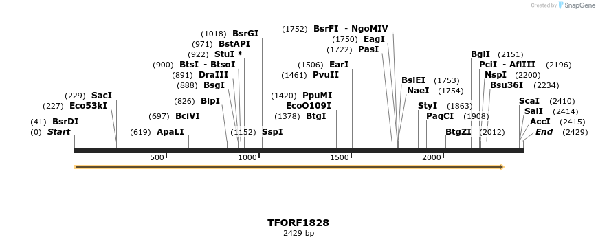 280721_map