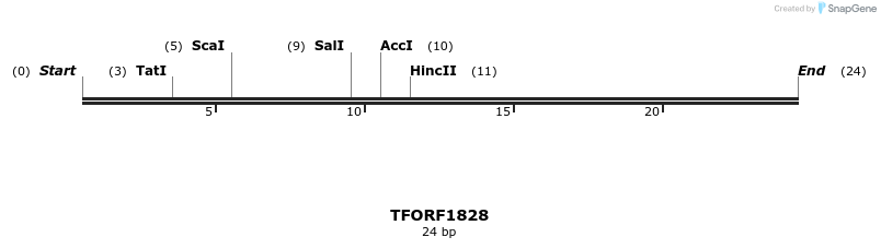 280722_map