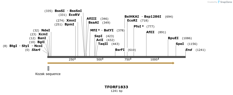280724_map
