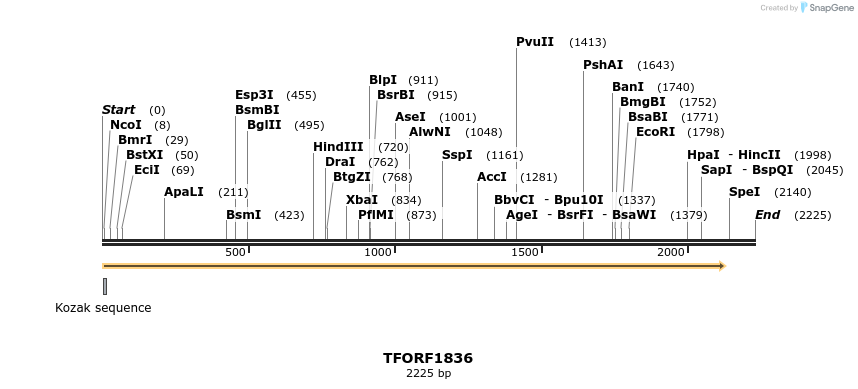 280730_map