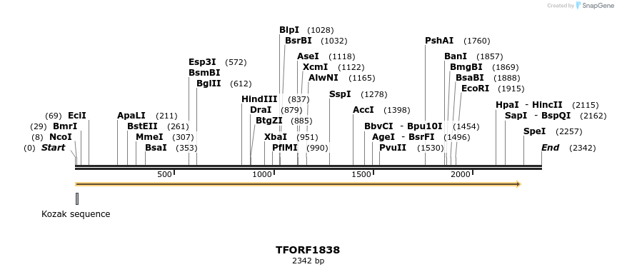 280733_map