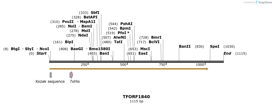 280736_map