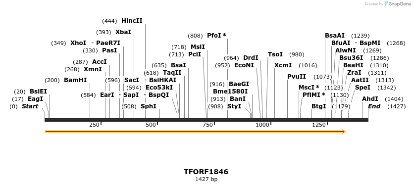 280739_map