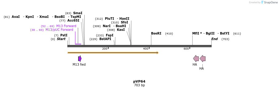 28074_map