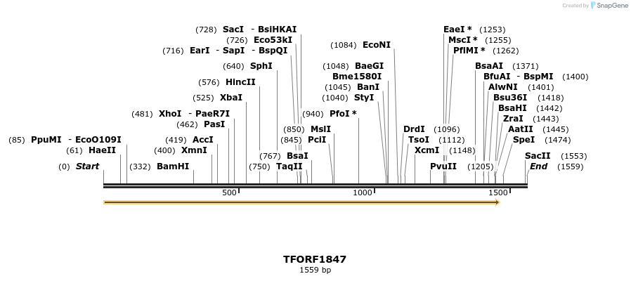 280742_map