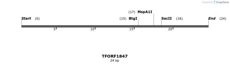 280743_map