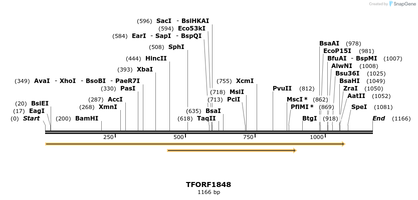 280745_map
