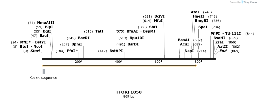 280748_map