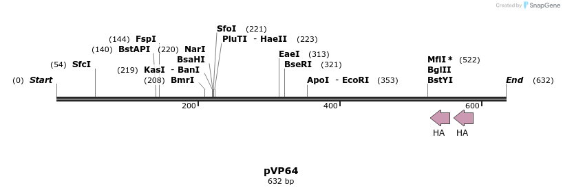 28075_map
