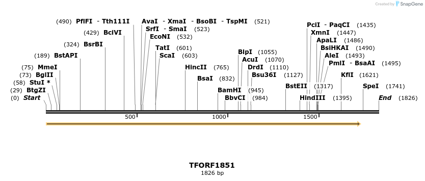 280751_map