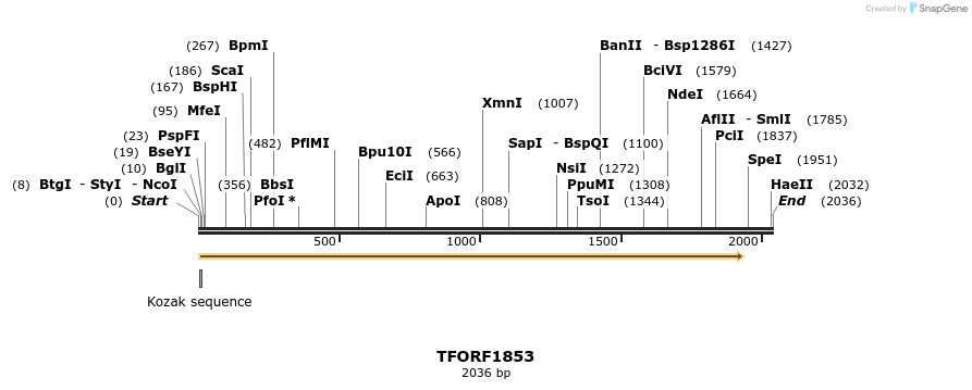 280754_map