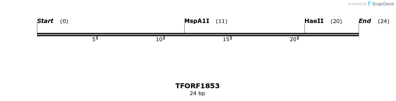 280755_map