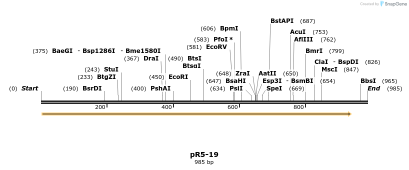 28076_map