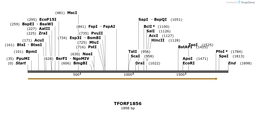 280760_map
