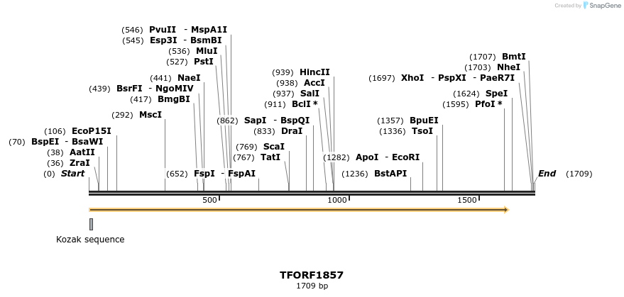 280763_map