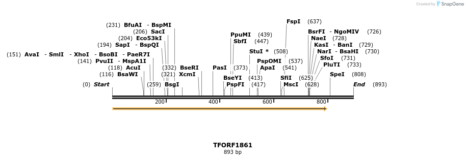280766_map