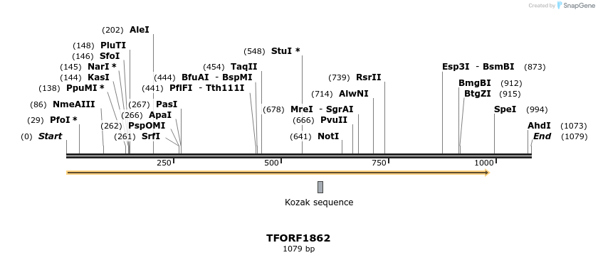 280769_map