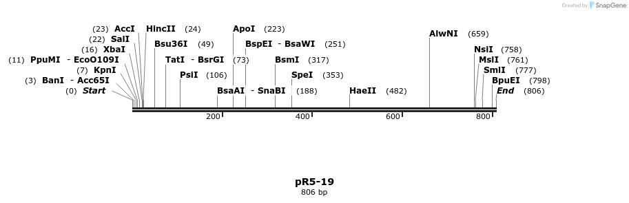 28077_map