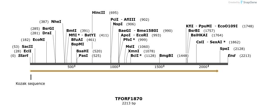 280775_map