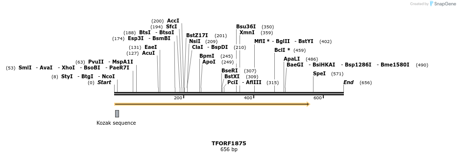 280778_map