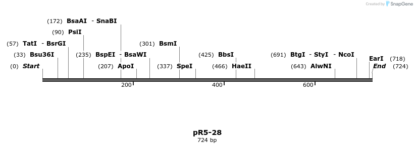 28078_map