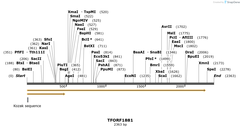 280781_map