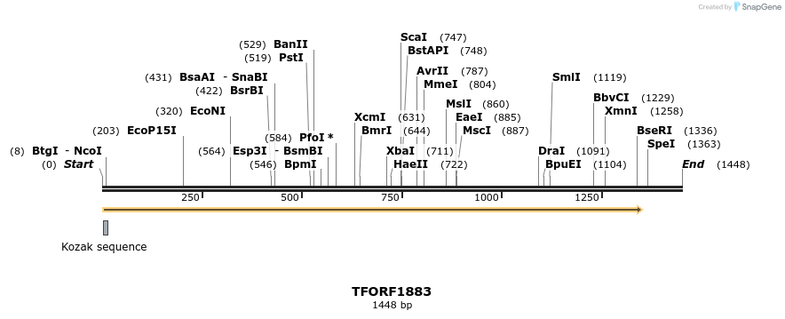 280784_map