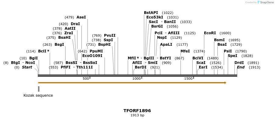 280787_map