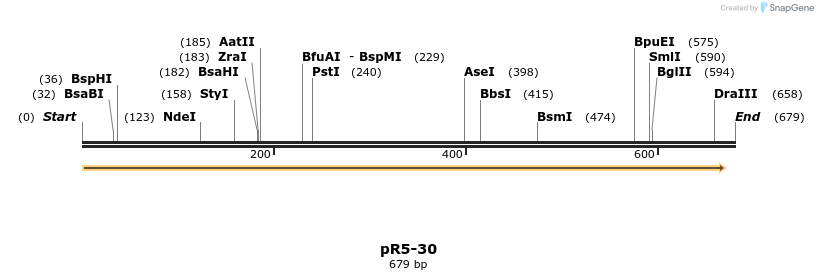 28079_map