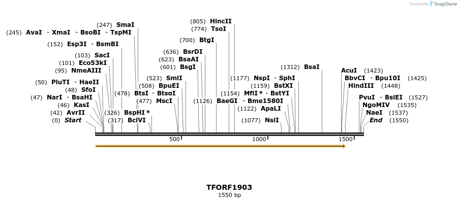 280790_map