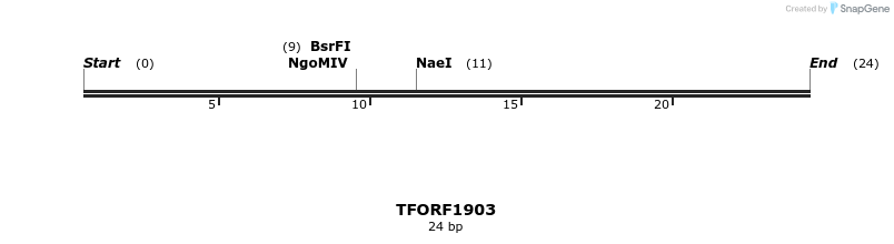 280791_map