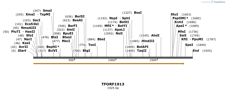 280793_map