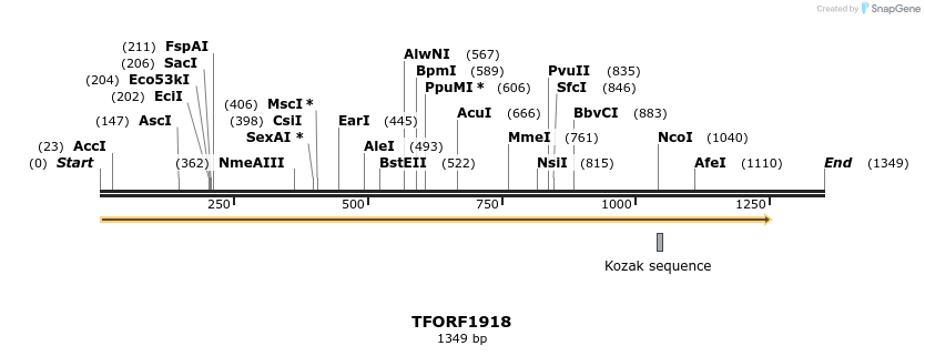 280796_map