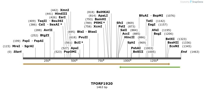 280799_map