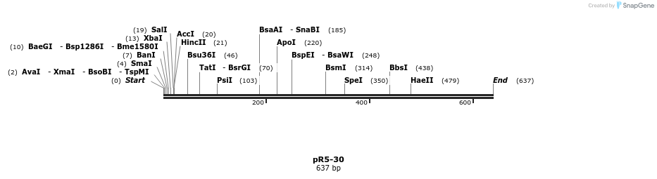 28080_map