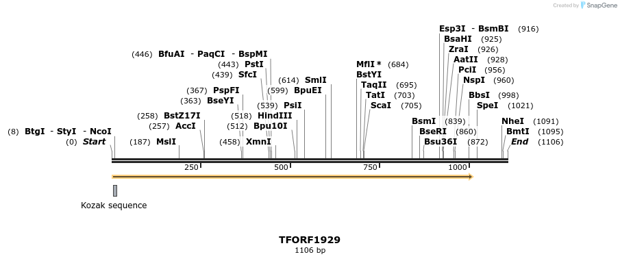 280802_map