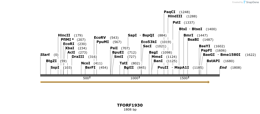 280805_map