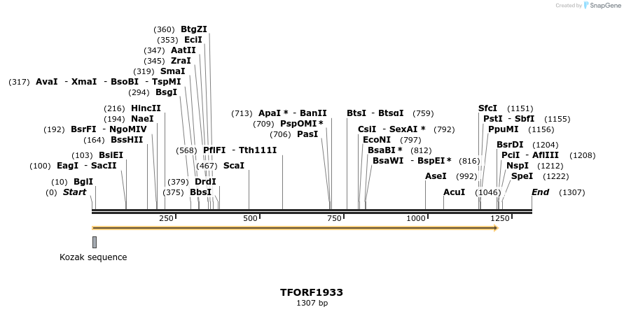 280808_map