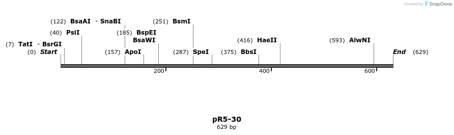 28081_map