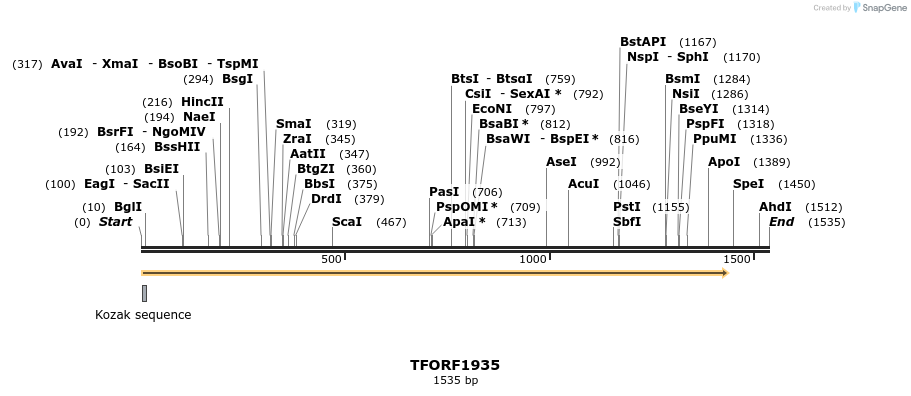 280811_map