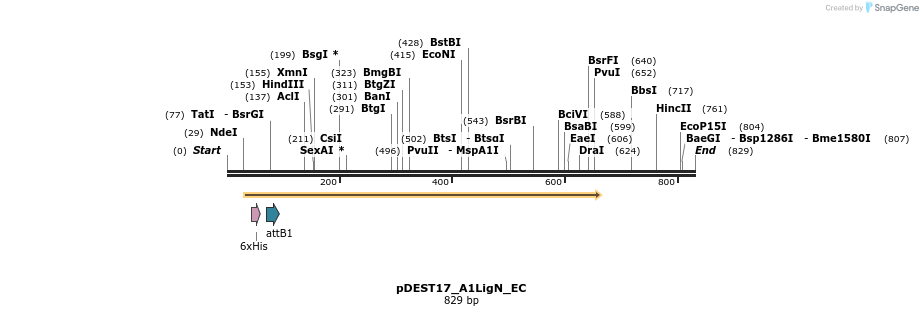 28082_map