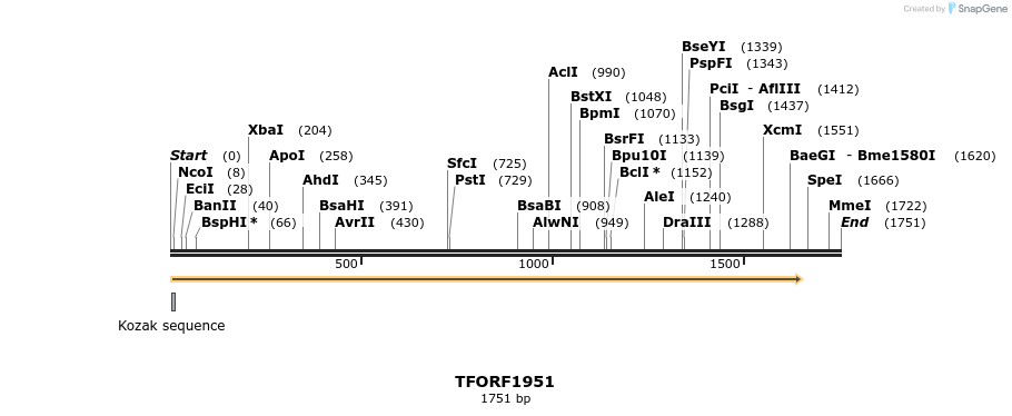 280826_map